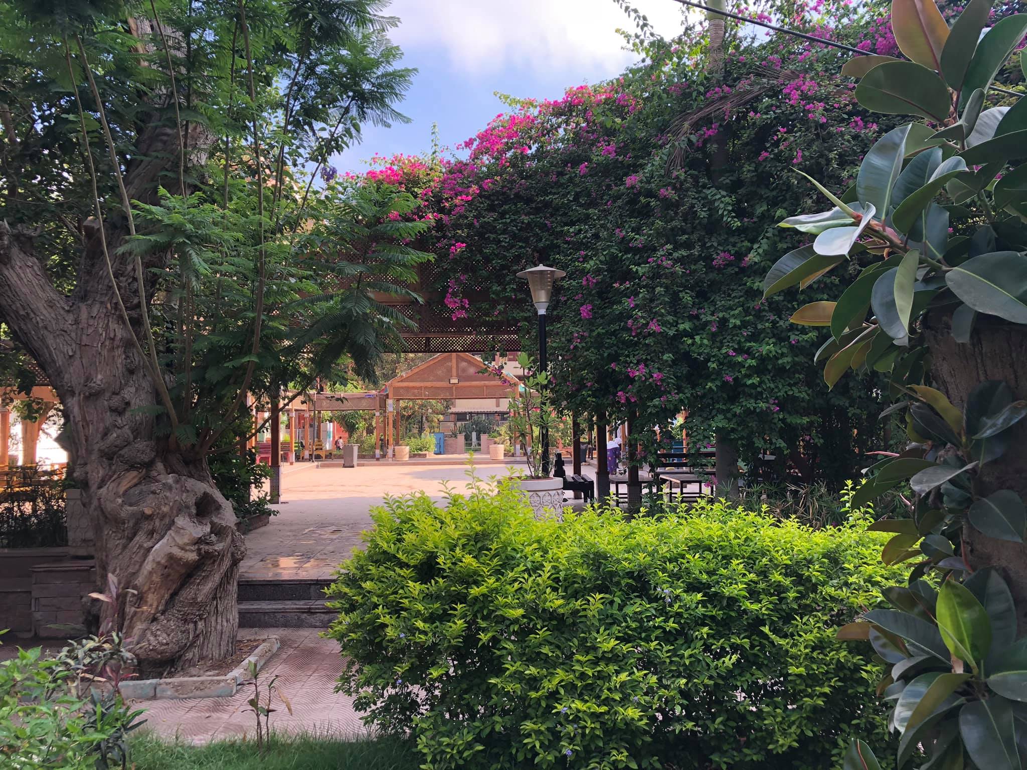 بدء العام الدراسي الجديد ٢٠٢٥/٢٠٢٦